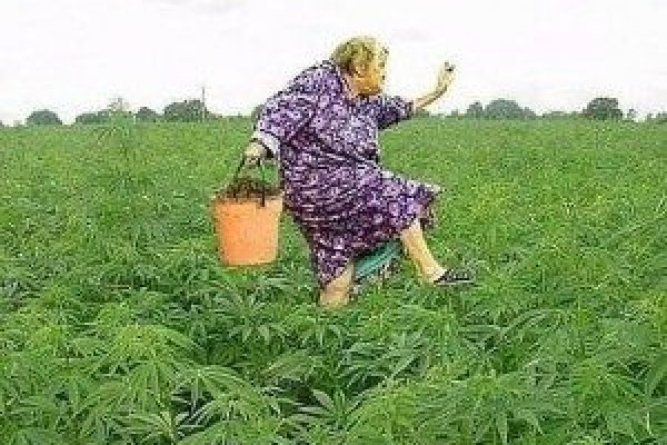 Восстановить аккаунт кракен