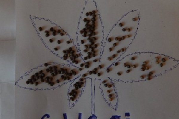 Рабочие ссылки и зеркала кракен