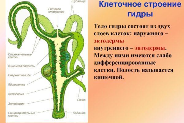 Ссылки на дарк нет