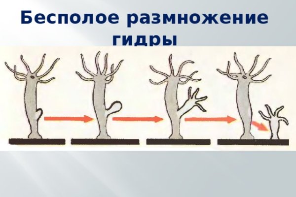Кракен маркетплейс откуда взялся
