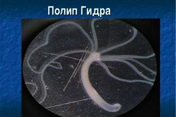 Аутентификатор кракен