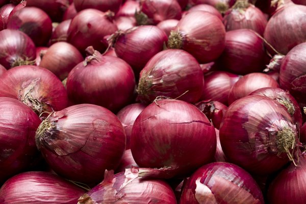 Kraken onion сайта