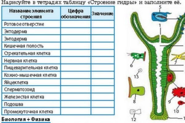 Магазины наркотиков