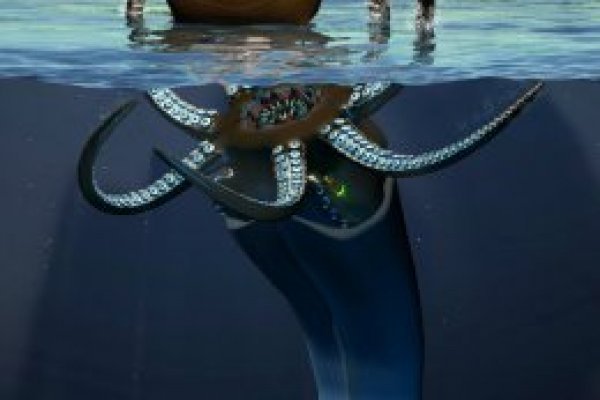 Ссылка для входа на сайт kraken