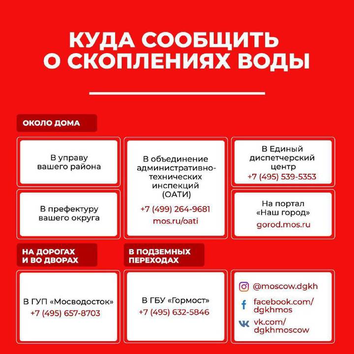 Официальный сайт даркнет