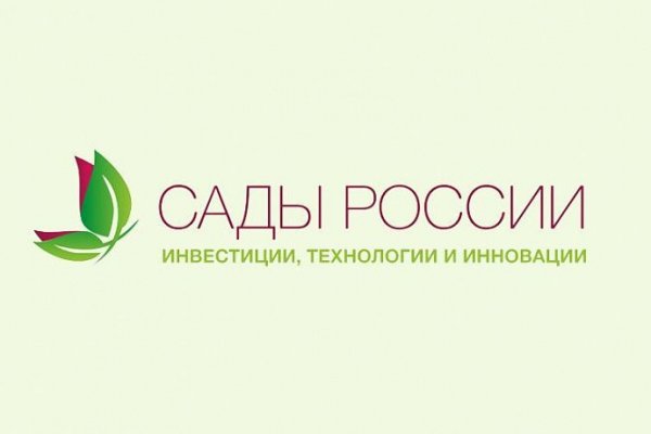 Почему не могу зайти на кракен
