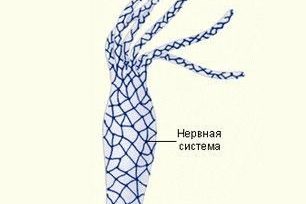 Браузер для кракен