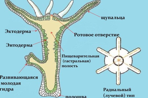 Список даркнет сайтов